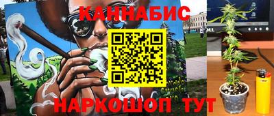 гидра Славгород