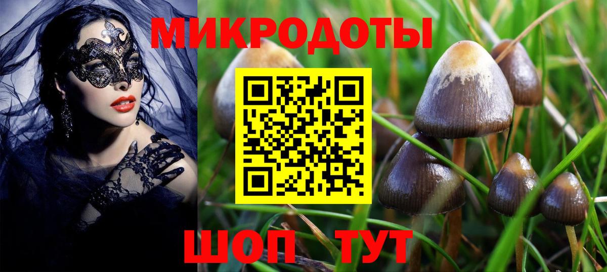 Псилоцибиновые грибы GOLDEN TEACHER  Вход с VPN  Псилоцибиновые грибы мицелий  Нефтекамск 